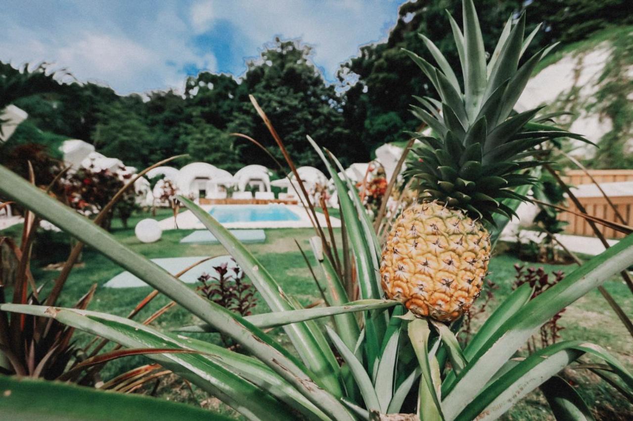 Igloo Beach Lodge 曼努埃尔安东尼奥 外观 照片
